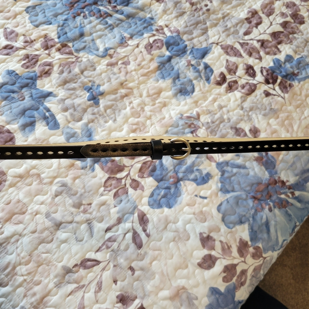 Thin Black Belt